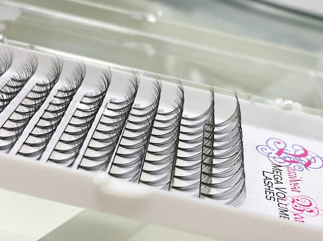 10D PreMade Mega Volume Lashes