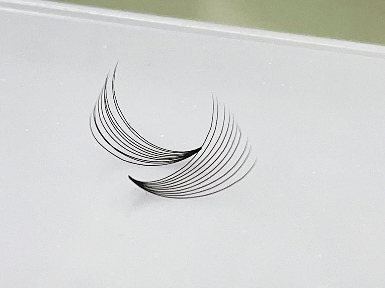 10D PreMade Mega Volume Lashes