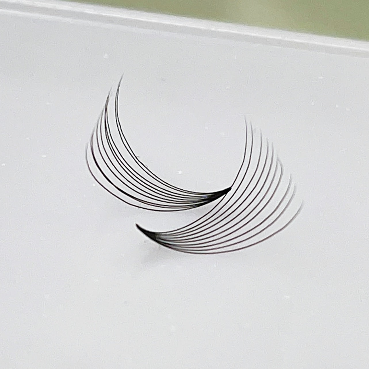10D PreMade Mega Volume Lashes